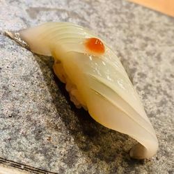 Squid