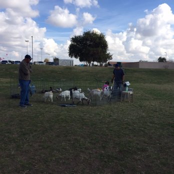 A Child's Joy - Petting zoo - Party & Event Planning Near Me - Laveen, Arizona