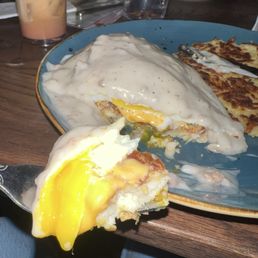 Biscuit Benny Biscuit Benny