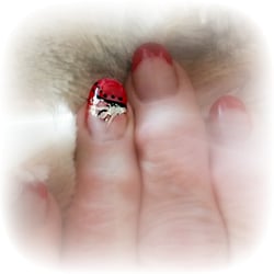 KT Nails Salon & Spa - Design by Tony of K. T. Nails