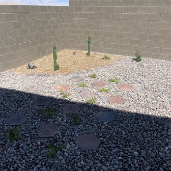 Domestic Landscape - Cactus garden - Tree Services Near Me
