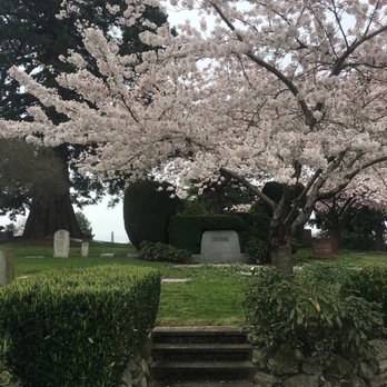 Volunteer Park - Parks Near Me - Seattle, Washington Volunteer Park - Parks Near Me - Seattle, Washington
