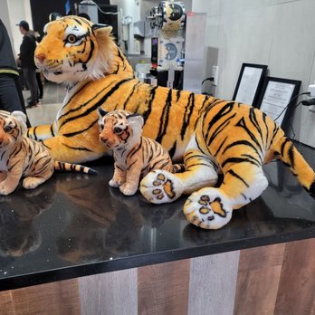 Tiger Sugar - Bubble Tea Near Me - Louisville, Kentucky