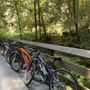 Photo of Santa Cruz Bike Tours