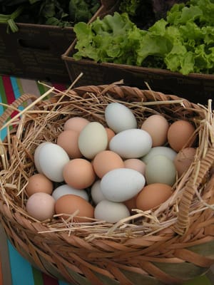 Greenhearts Family Farm Online Farmers Market by null