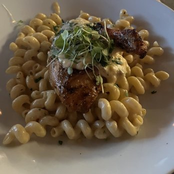 The Pump House - Ice tea marinated chicken over Mac and cheese - New American Near Me - Rock Hill, South Carolina The Pump House - Ice tea marinated chicken over Mac and cheese - New American Near Me - Rock Hill, South Carolina