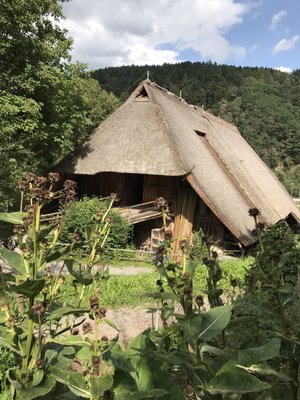 Black Forest Open Air Museum by null
