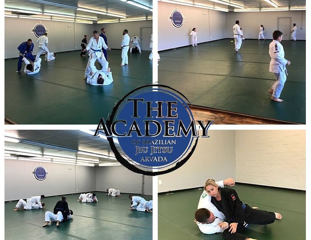 The Academy of Brazilian Jiujitsu Logo