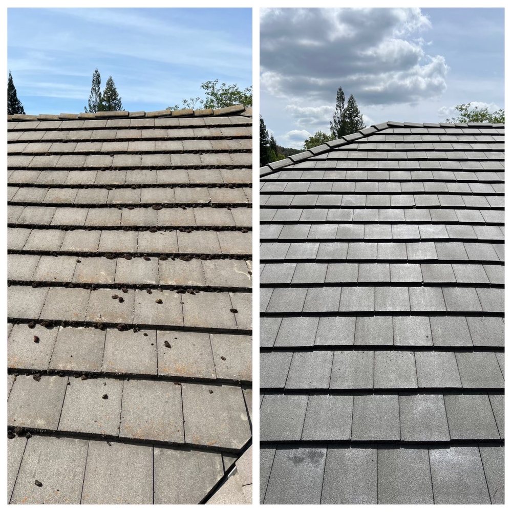 Gilbert The Gutter Guy - Before and after of moss removal - Gutter Services Near Me