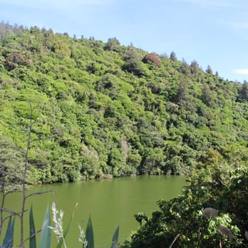Zealandia - View over the river - Zoos Near Me - Wellington, WGN Zealandia - View over the river - Zoos Near Me - Wellington, WGN
