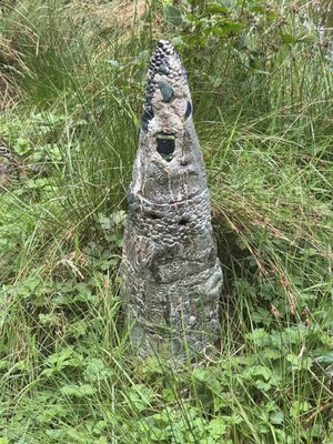 Willapa National Wildlife Refuge by null