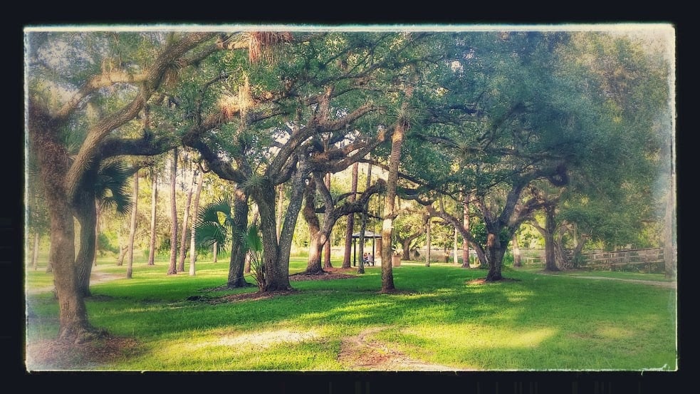 Depot Park Image