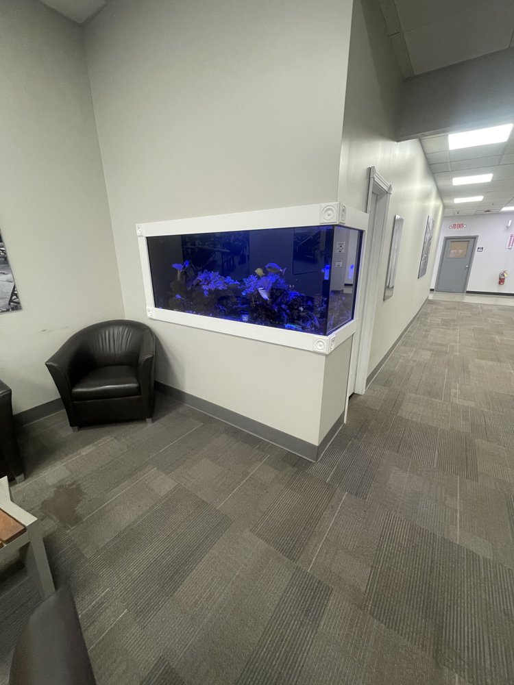 STRAIGHT LINE PAINTING Updated July 2024 Tonawanda, New York Painters Phone Number Yelp