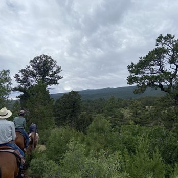 Cedar Crest Country Cottage and Stables - Horseback Riding Near Me - Cedar Crest, New Mexico