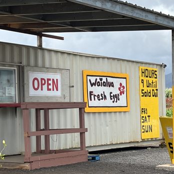 WAIALUA FRESH EGG FARM - Updated August 2024 - 23 Photos & 16 Reviews