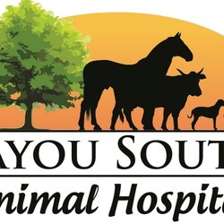 Bayou South Animal Hospital - Large and small, care for them all.