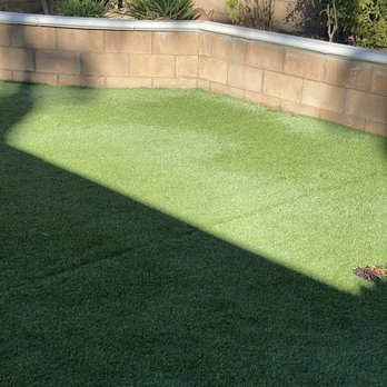 Ignacio's Tree Service - a bird on the lawn - Lawn Services Near Me