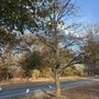 Photo of South Lakes Drive Park