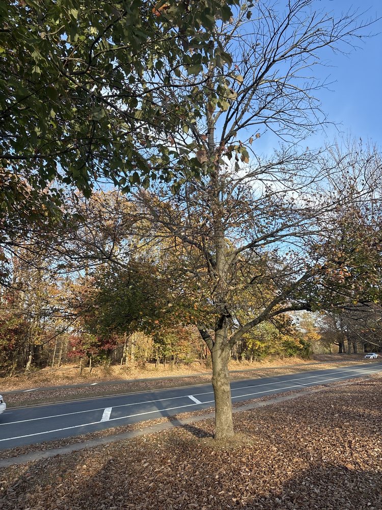 South Lakes Drive Park Logo
