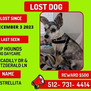 Hip Hounds - Estrellita - Pet Boarding Near Me - Round Rock, Texas