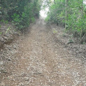 Kealia Trail - Steeeeeeeep dirt paths past picnic table - Hiking Near Me Kealia Trail - Steeeeeeeep dirt paths past picnic table - Hiking Near Me