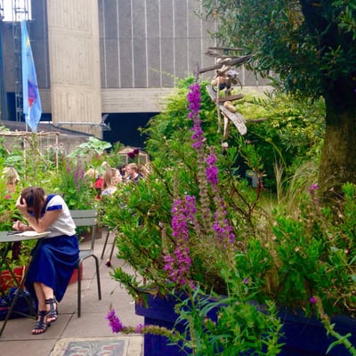Queen Elizabeth Hall Roof Garden by null