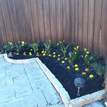 Alfredo's Lawn Care Service - Flower beds - Gardeners Near Me Alfredo's Lawn Care Service - Flower beds - Gardeners Near Me