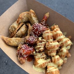 Fried Veggie Dumplings Tater Tots and Fried Spicy Chicken Fried Veggie Dumplings Tater Tots and Fried Spicy Chicken