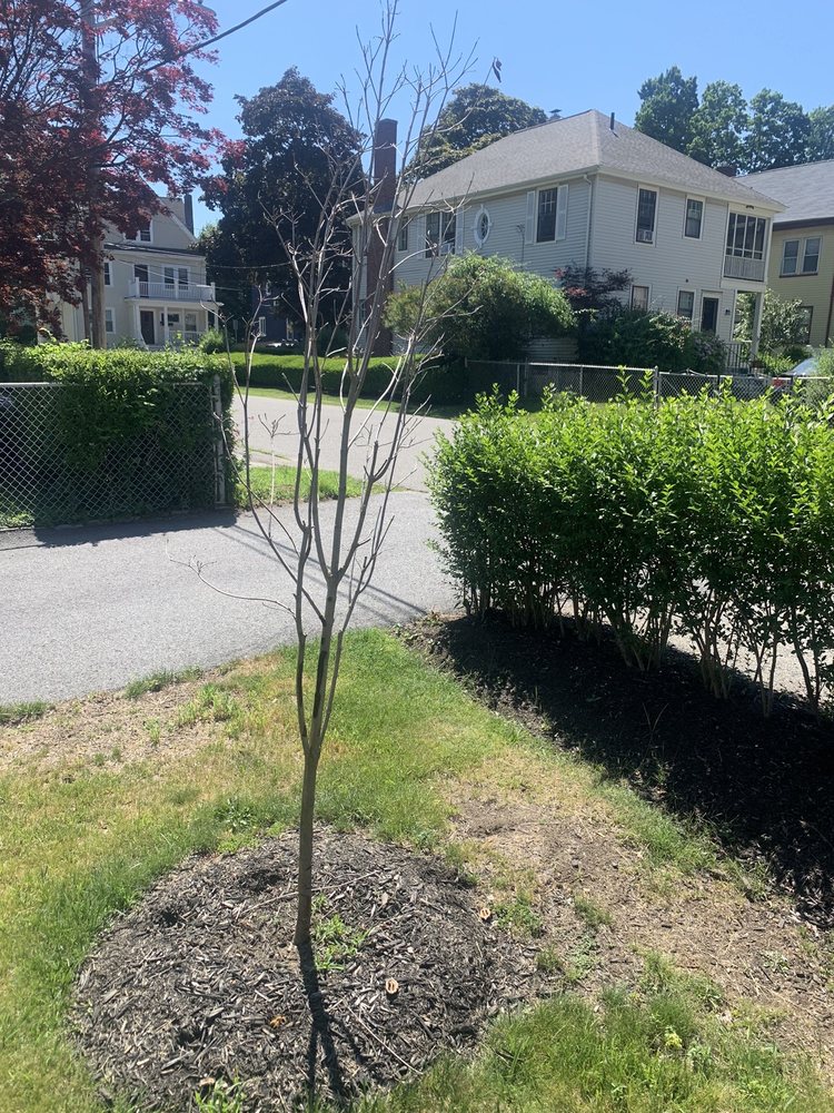 MEDFORD LANDSCAPE Updated May 2024 150 Rivers Edge Dr, Medford