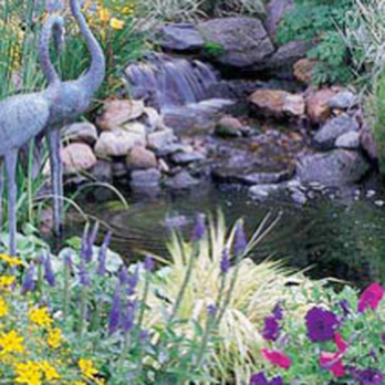 Greenify Arizona - Landscape Design - Landscaping Near Me