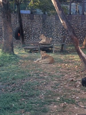 Shoushan Zoo by null