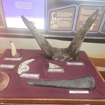 Dinosaur Ridge - Museum - Museums Near Me - Morrison, Colorado