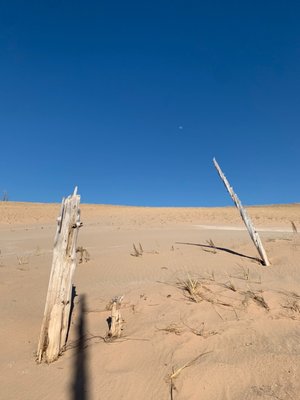 Sleeping Bear Dunes National Lakeshore by null