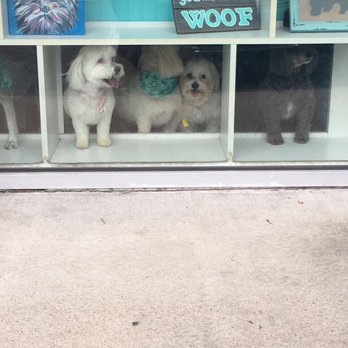 Bubbles N' Bows Doggie Salon - I love that they don't put the dogs in kennel so they can interact with other pups. - Pet Groomers Near Me - Fort Mill, South Carolina Bubbles N' Bows Doggie Salon - I love that they don't put the dogs in kennel so they can interact with other pups. - Pet Groomers Near Me - Fort Mill, South Carolina