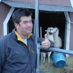 LLAMAS LLAMAS LLAMAS!