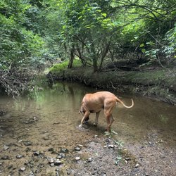 Conestoga Trail Ecology Park