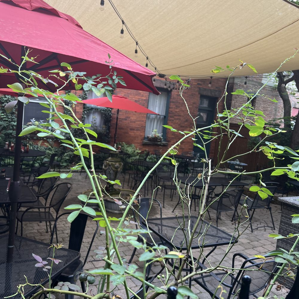 Iron Gate Cafe - Back patio - Cafes Near Me - Albany, New York Iron Gate Cafe - Back patio - Cafes Near Me - Albany, New York