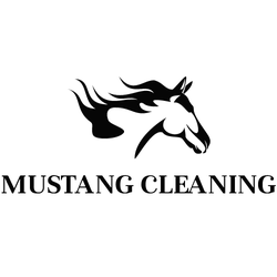 Mustang Window Cleaning - Our Logo