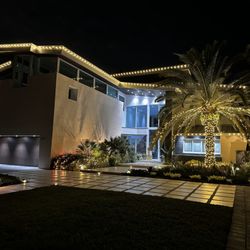 Royal Palms Holiday Lighting