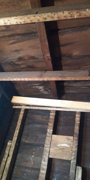 Slide of Dr. Plumber