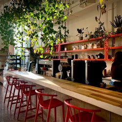 Barista Parlor - Hillsboro Village - 7:30 a.m. - Morning Coffee Vibes with Louie Armstrong on the Sound System.