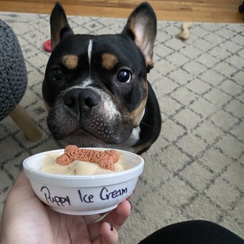 Hometown Creamery - Puppy Ice Cream - Ice Cream & Frozen Yogurt Near Me - Wayne, New Jersey