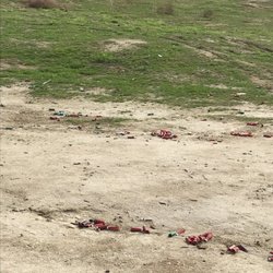 Tumey Hills - No one picked up their shell casings!