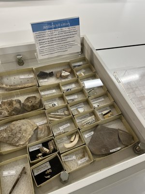 Alexandria Archaeology Museum by null