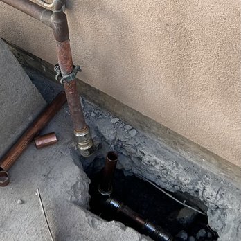 Absolute Termite & Pest Control - Pest Control Near Me - Kapolei, Hawaii