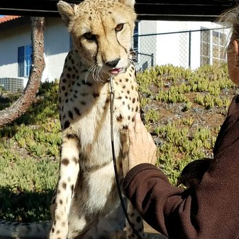 Wild Wonders - Zoos Near Me - Bonsall, California Wild Wonders - Zoos Near Me - Bonsall, California