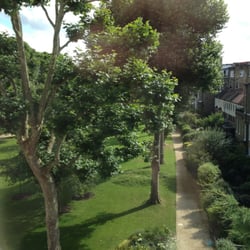 Europa House Apartments - View over the lovely semi-private backyard: Crescent Gardens