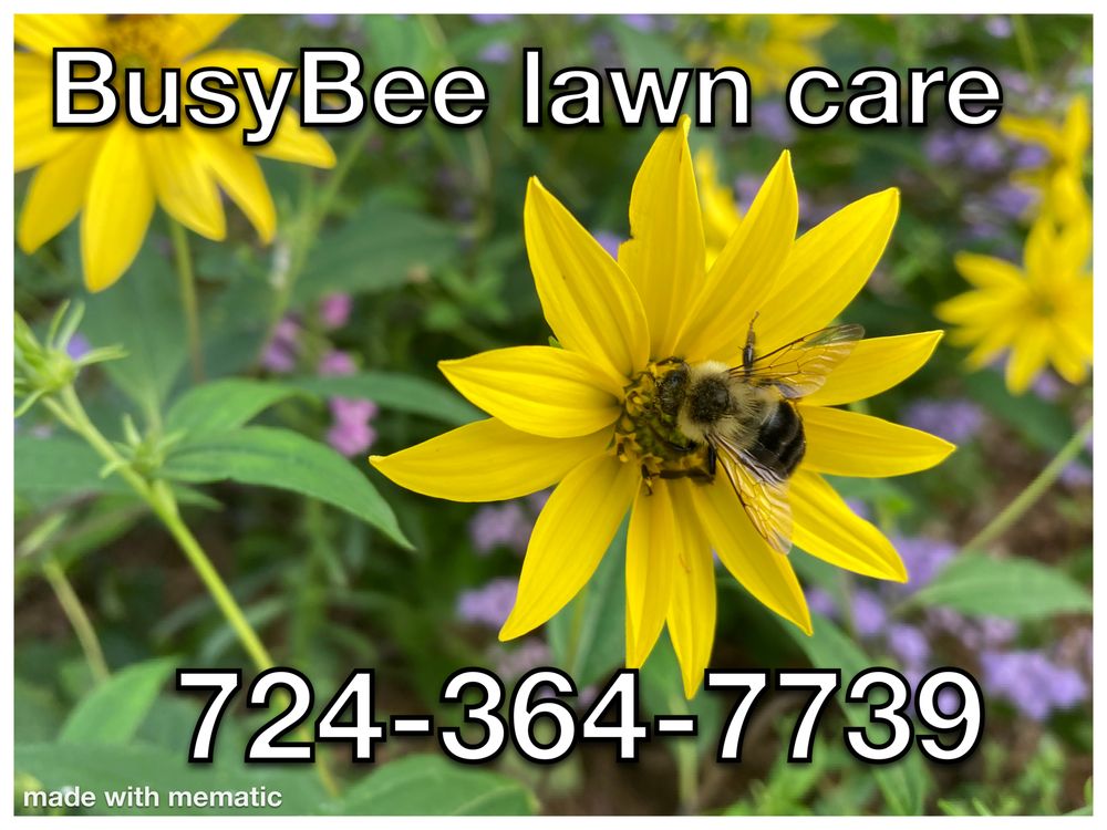 BUSY BEE LAWN CARE 721 2nd St, Smock, Pennsylvania Landscaping
