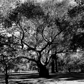 Irvine Regional Park - Parks Near Me - Orange, California Irvine Regional Park - Parks Near Me - Orange, California