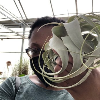 Atlantic Gardening Company - Me holding an air plant at a visit to Atlantic. - Nurseries & Gardening Near Me - Raleigh, North Carolina